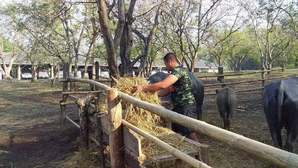 “ทหารพันธุ์ดี!! น้อมนำศาสตร์พระราชา สู่การพัฒนาอย่างยั่งยืน”