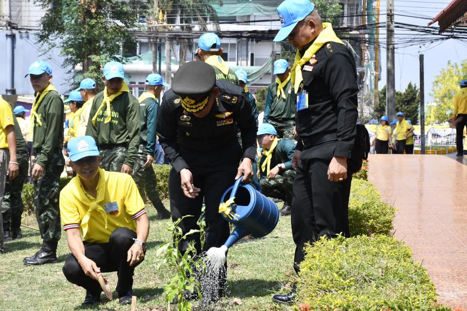 ปลูกต้นรวงผึ้งพระราชทาน