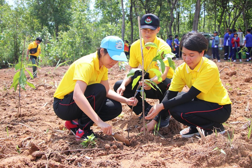 “มทบ.24 ร่วมกิจกรรมปลูกป่าเฉลิมพระเกียรติ เนื่องในโอกาสมหามงคลพระราชพิธีบรมราชาภิเษก”