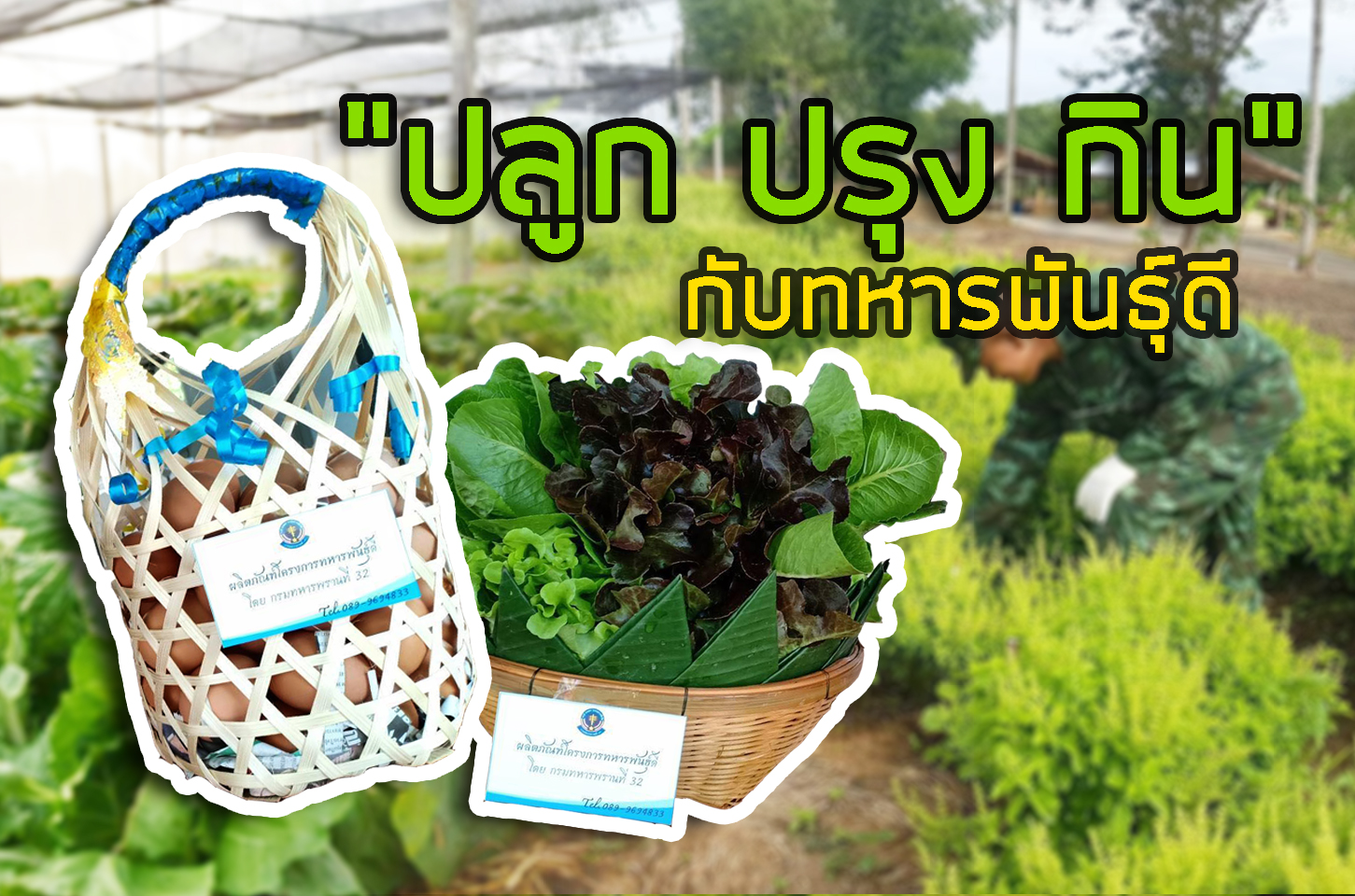 "ปลูก ปรุง กิน" กับทหารพันธุ์ดี กองทัพภาคที่ 3...ปลูกผักสวนครัวปลอดสารพิษกินเองที่บ้านภายในหน่วยทหาร ทั้งประหยัด ทั้งสุขภาพดี!