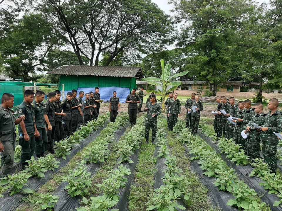 ทหารพันธุ์ดี “Well-bred soldier”