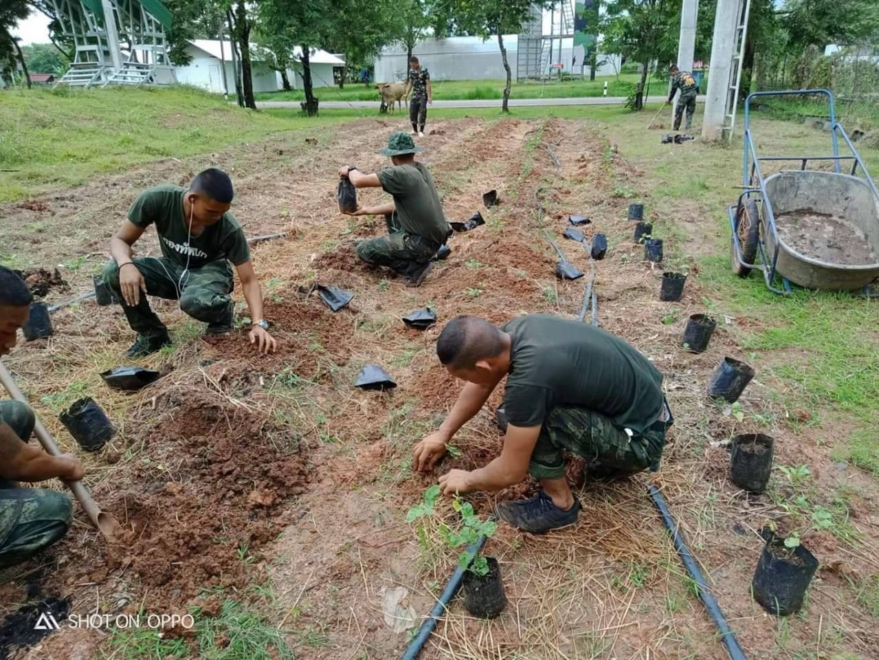 ทหารพันธุ์ดี มทบ. 210 เรียนรู้ควบคู่การปฏิบัติ Well-bred soldiers of the 210th Military Circle learned about sufficiency economy, both theoretically and practically.