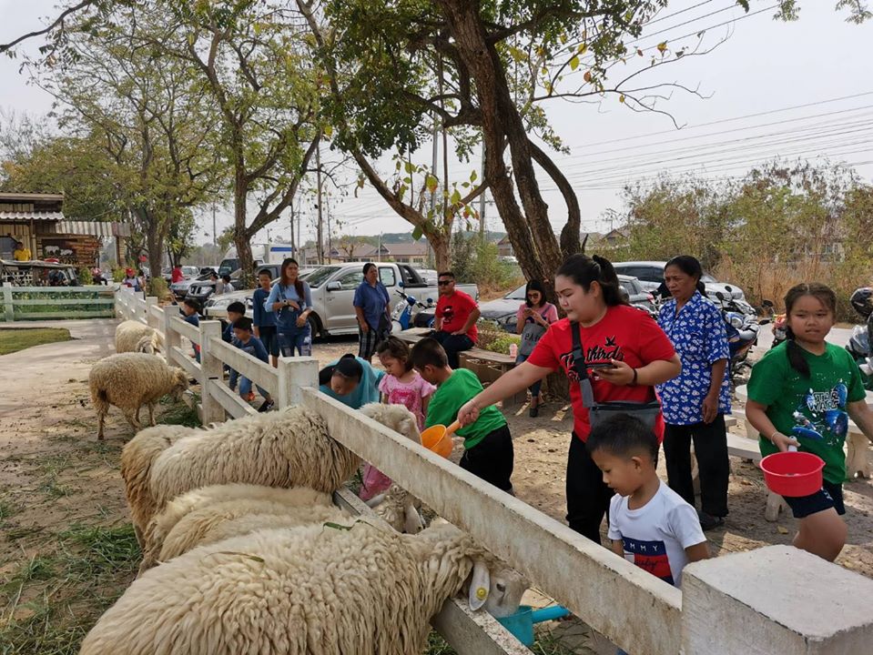 “Engineer Sheep Farm & Kind Day” กองพันทหารช่างที่ 4 เปิดบ้าน โชว์!!! ฟาร์มแกะ...ศูนย์การเรียนรู้เศรษฐกิจพอเพียง พร้อมชวนเด็กๆ ดำนา...ขี่ม้าคาวบอย