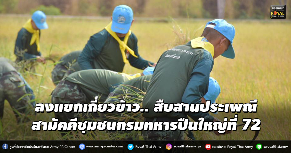 ลงแขกเกี่ยวข้าว.. สืบสานประเพณี