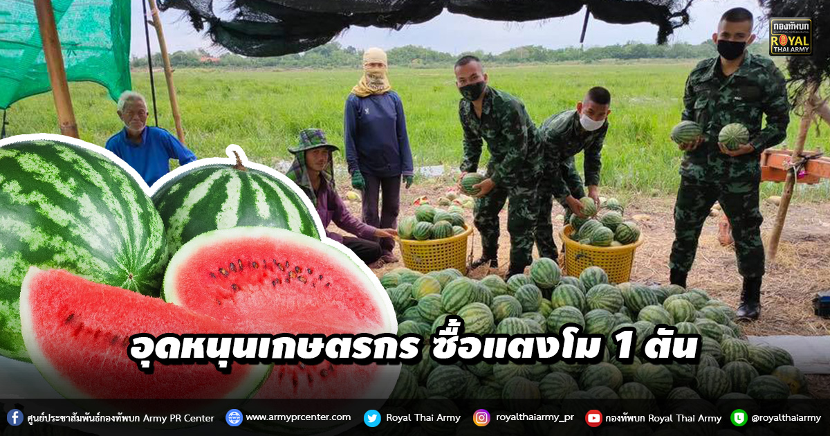 อุดหนุนเกษตรกร ซื้อแตงโม 1 ตัน