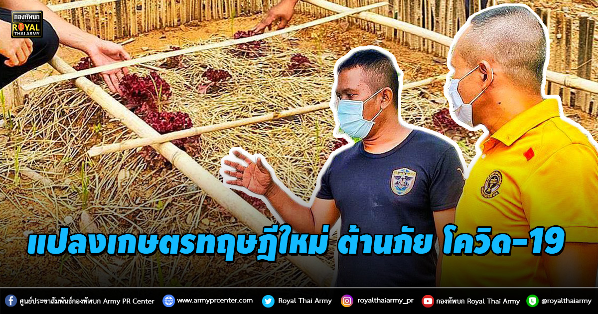 ทหารพราน 42 จัดทำ แปลงเกษตรทฤษฎีใหม่ ต้านภัย โควิด-19 