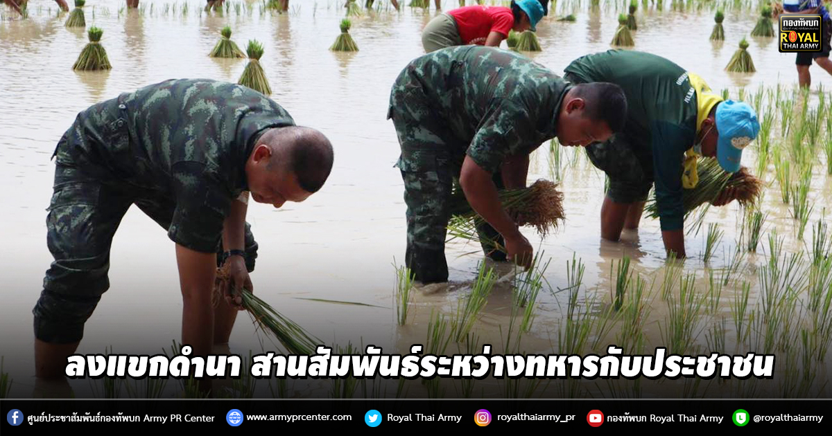 “ลงแขกดำนา สานสัมพันธ์ระหว่างทหารกับประชาชน