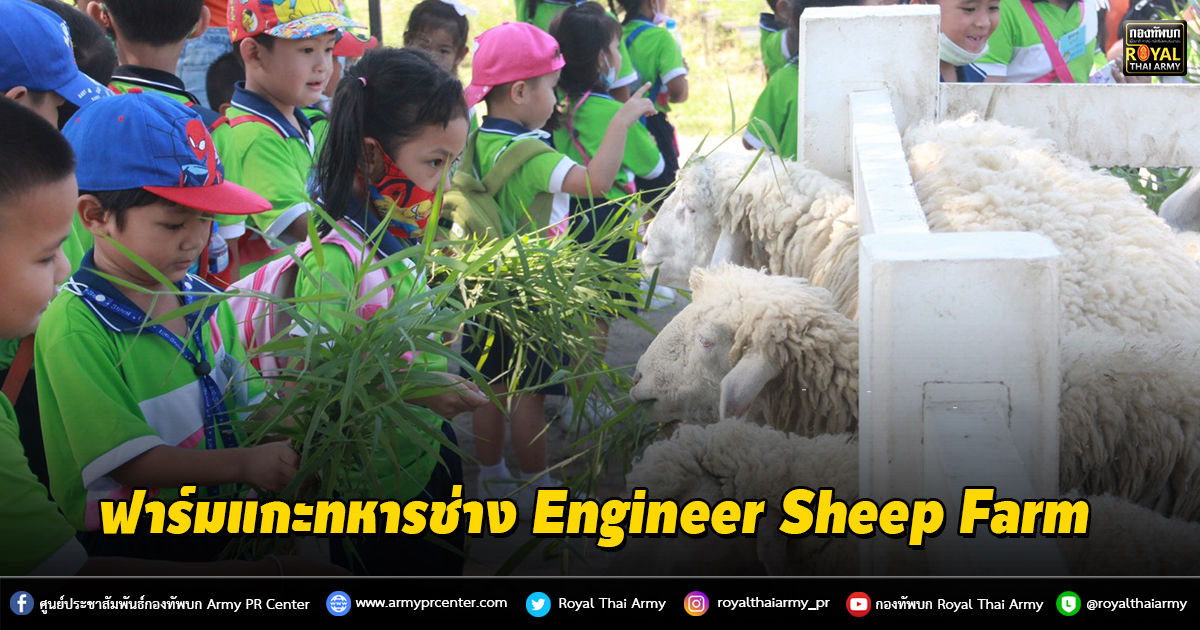 ฟาร์มแกะทหารช่าง Engineer Sheep Farm