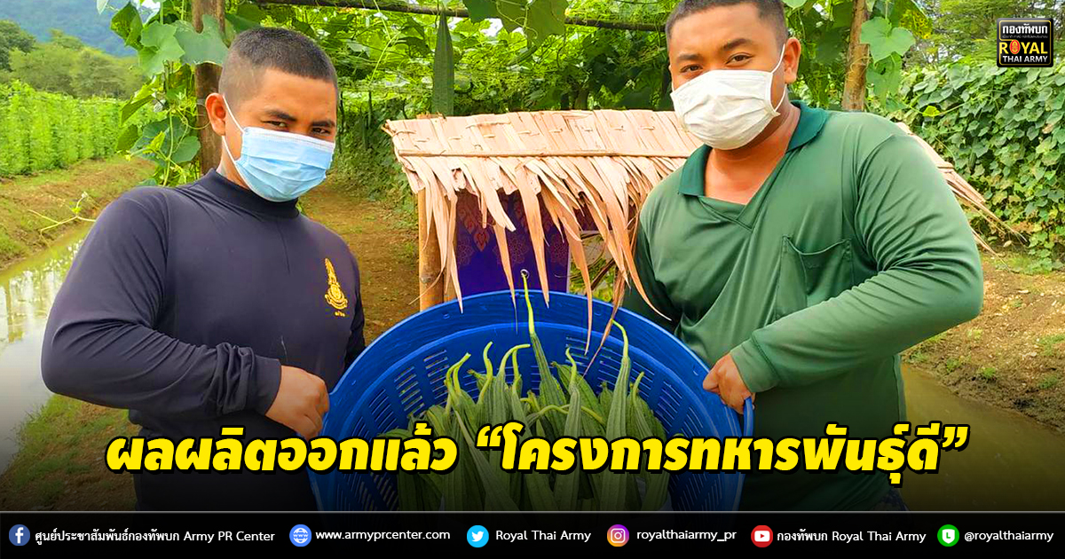 ผลผลิตออกแล้ว “โครงการทหารพันธุ์ดี” กรมการทหารช่าง