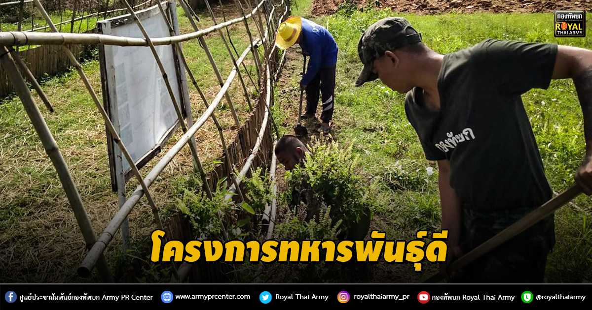 โครงการทหารพันธุ์ดี