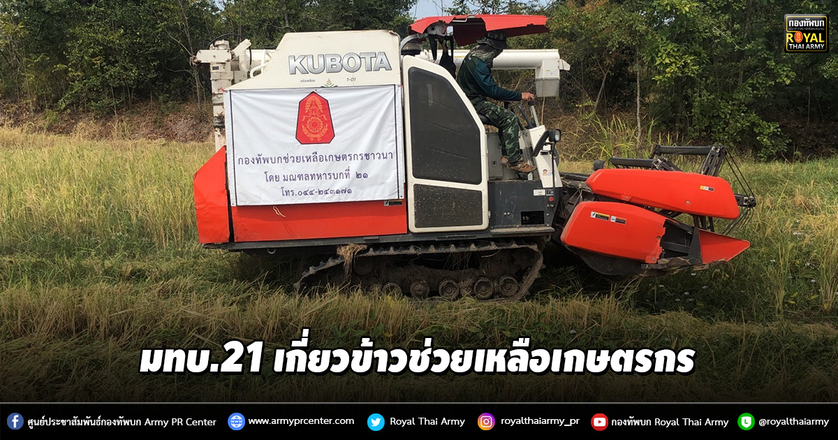 มทบ.21 เกี่ยวข้าวช่วยเหลือเกษตรกร