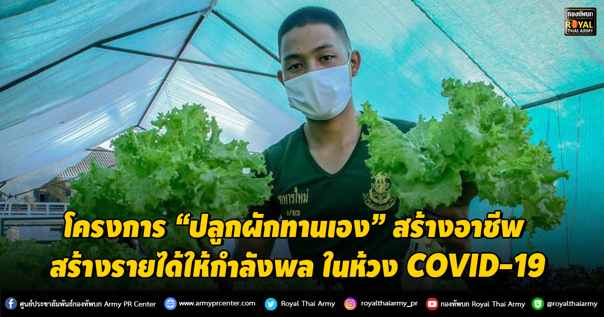 โครงการ “ปลูกผักทานเอง” สร้างอาชีพเสริม สร้างรายได้ให้กำลังพล ในห้วง COVID-19