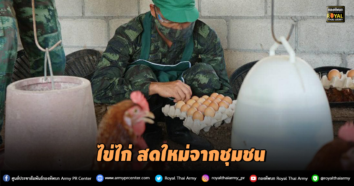 ไข่ไก่ สดใหม่จากชุมชน  “หน่วยทหารจ่ายตลาด ช่วยเกษตรกร ฟื้นฟูเศรษฐกิจ”