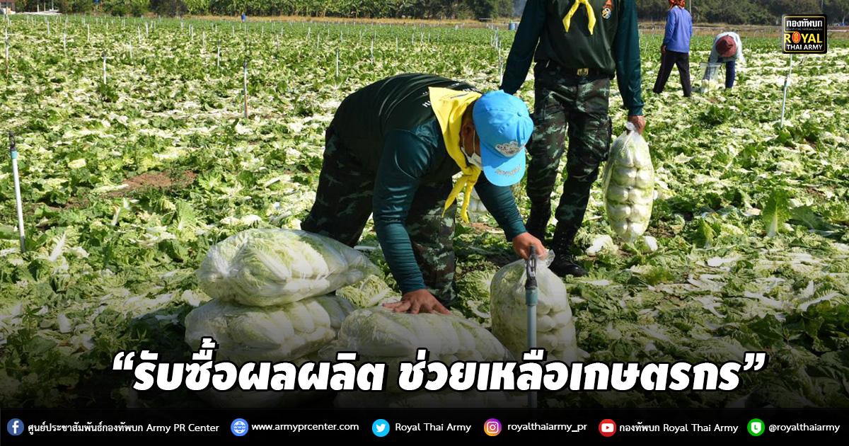 “รับซื้อผลผลิต ช่วยเหลือเกษตรกร”