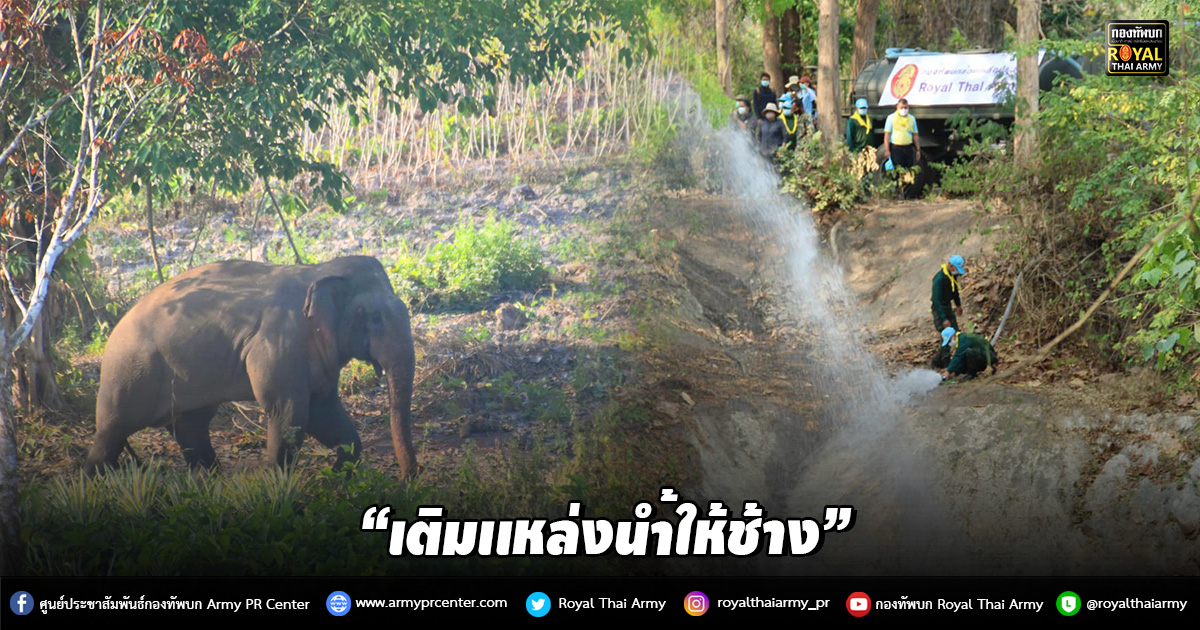 “เติมน้ำเเหล่งน้ำให้ช้าง”