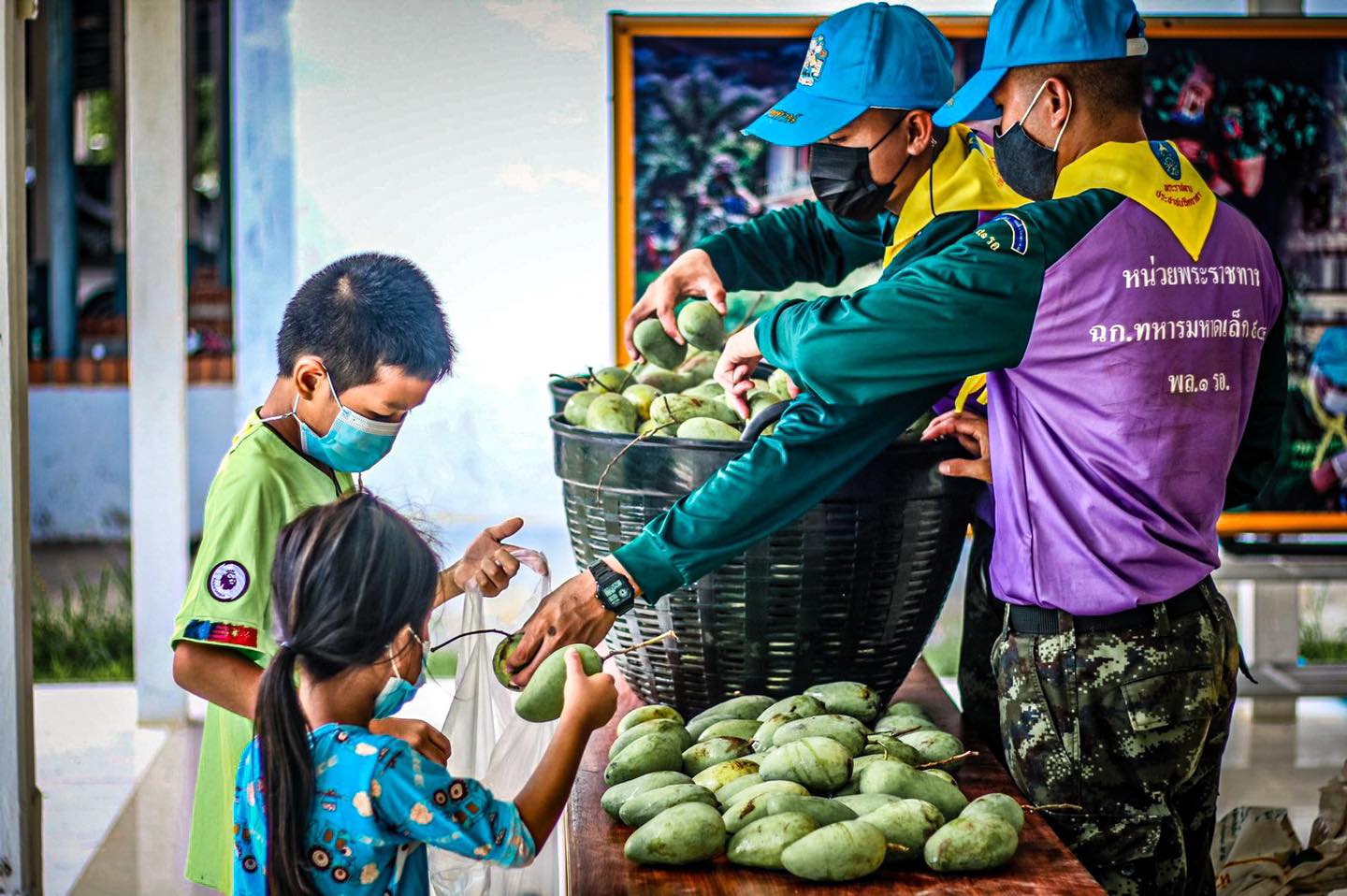 รับซื้อผลผลิตทางการเกษตร