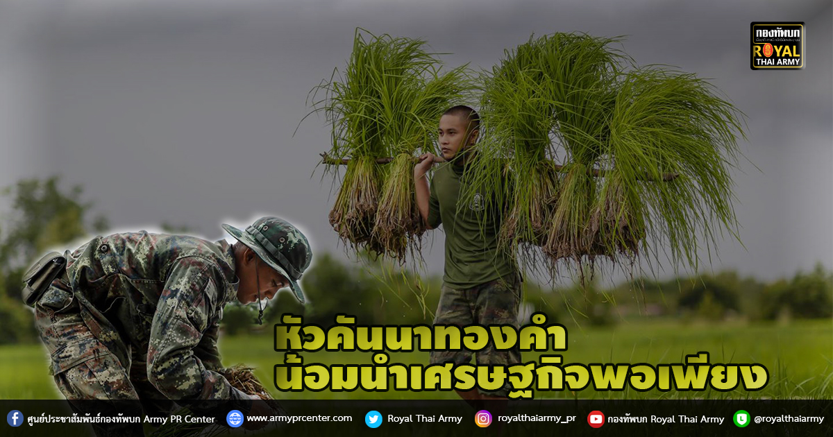 หัวคันนาทองคำ น้อมนำเศรษฐกิจพอเพียง