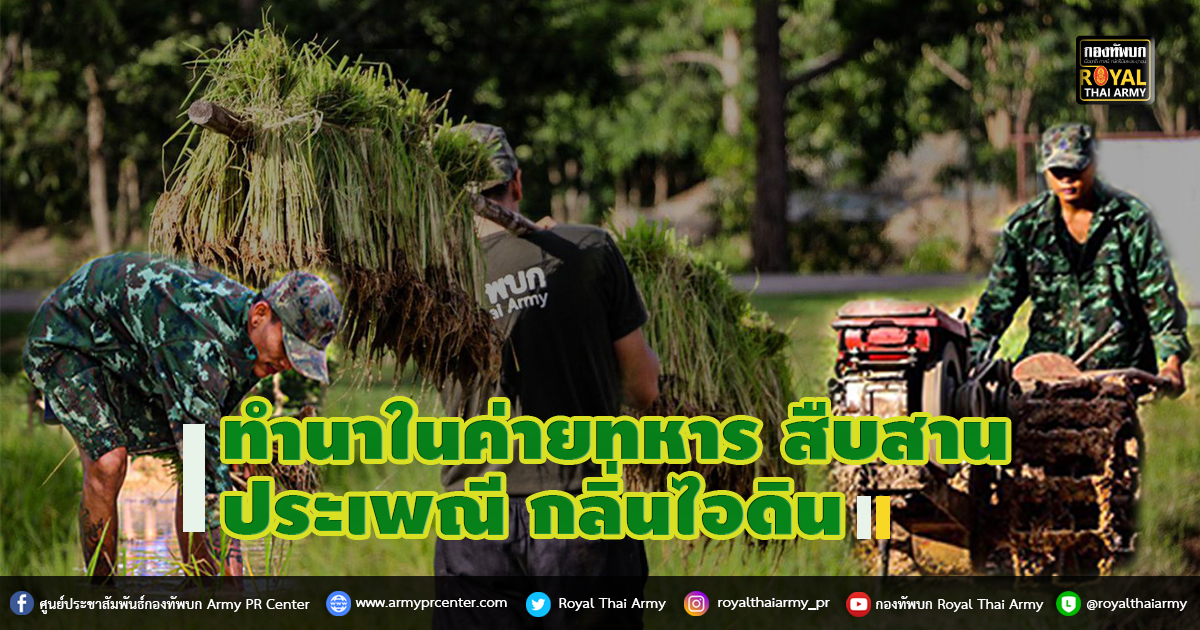 ทำนาในค่ายทหาร สืบสานประเพณี กลิ่นไอดิน