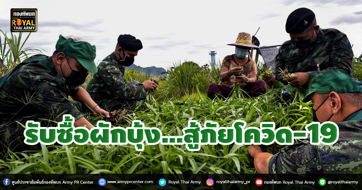 รับซื้อผักบุ้ง…สู้ภัยโควิด-19