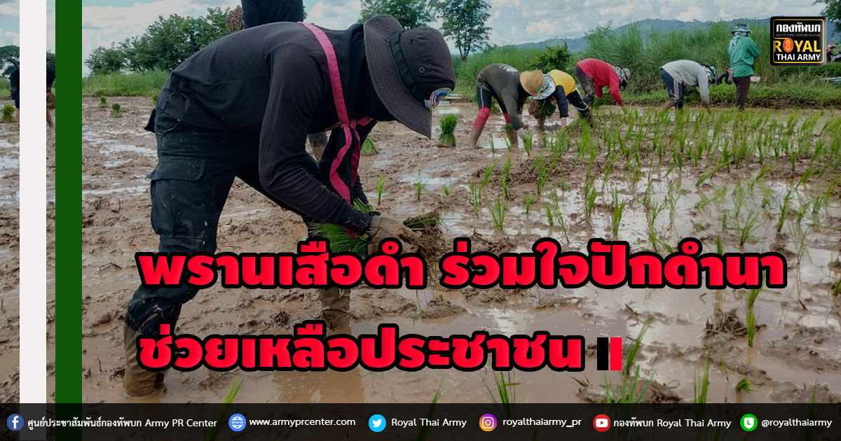 พรานเสือดำ ร่วมใจปักดำนา ช่วยเหลือประชาชน