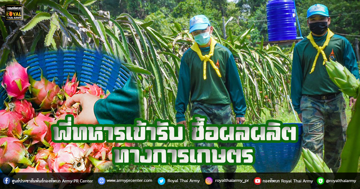 พี่ทหารเข้ารับซื้อผลผลิตทางการเกษตร