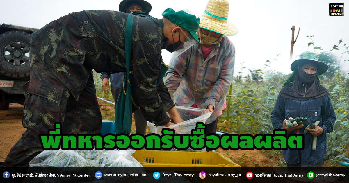 พี่ทหารออกรับซื้อผลผลิต