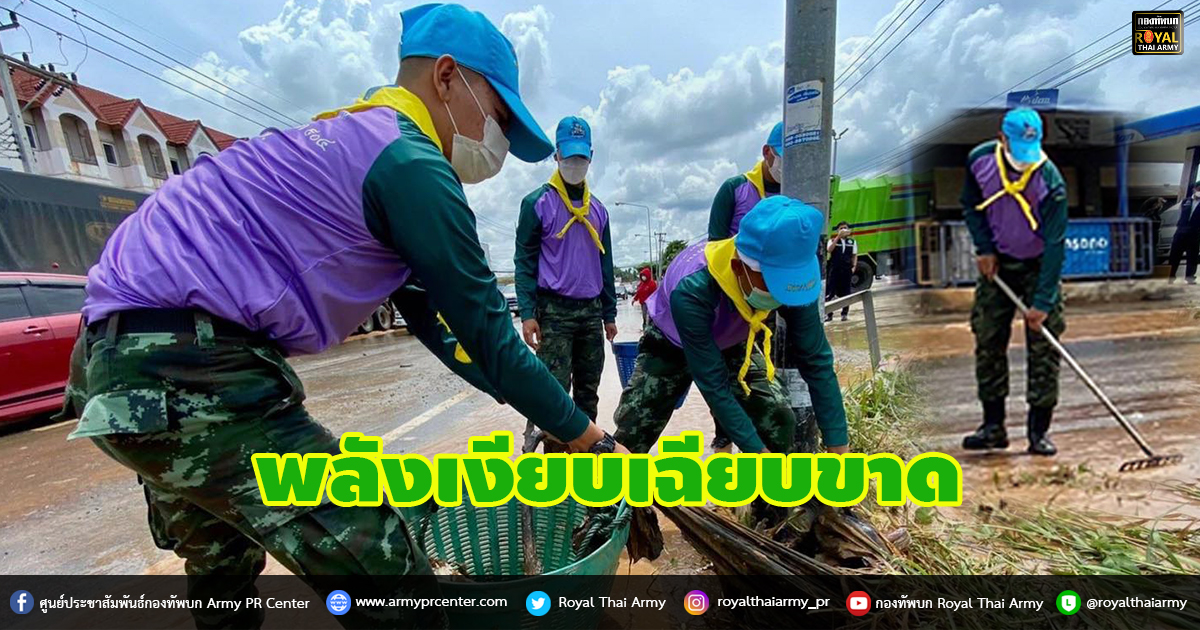 พลังเงียบเฉียบขาด