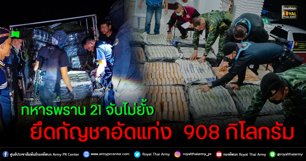 ทหารพราน 21 จับไม่ยั้ง ตรวจยึดกัญชาอัดแท่ง  908 กิโลกรัม