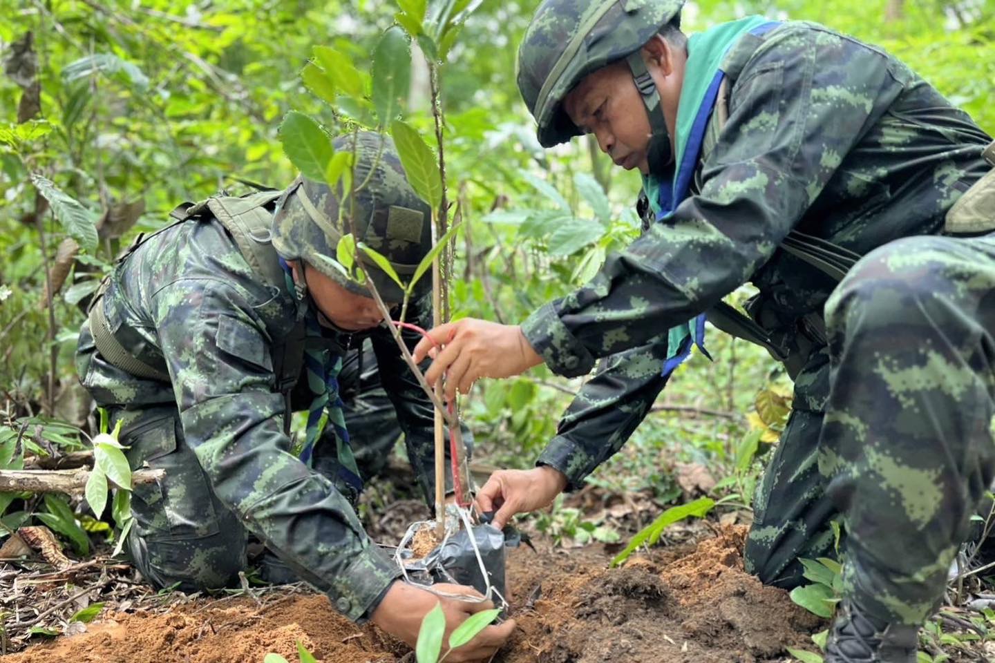 “ลาดตระเวน พร้อมปลูกป่าชายแดน”