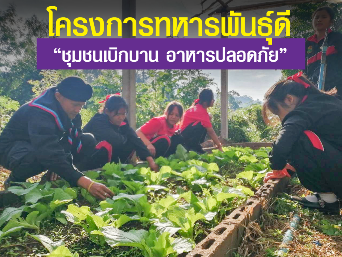 โครงการทหารพันธุ์ดี “ชุมชนเบิกบาน อาหารปลอดภัย ” โรงเรียนบ้านเลโค๊ะ