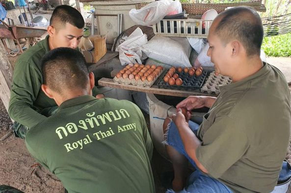 " รับซื้อไข่ไก่ ช่วยเหลือเกษตรกร "